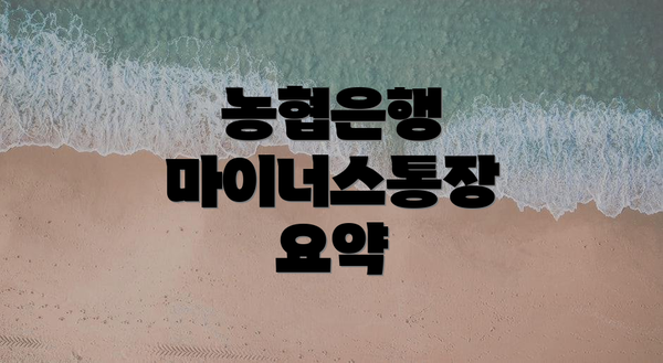 농협은행 마이너스통장 요약
