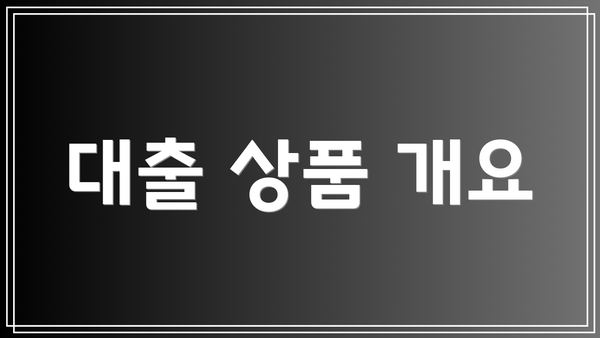 대출 상품 개요