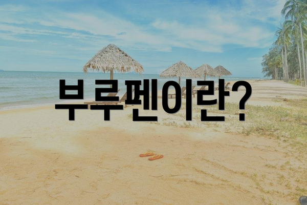 부루펜이란?