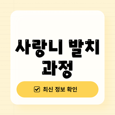 사랑니 발치 과정