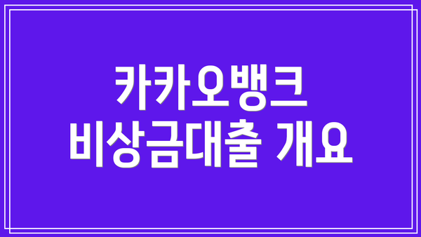 카카오뱅크 비상금대출 개요