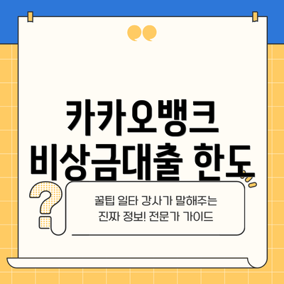카카오뱅크 비상금대출 한도