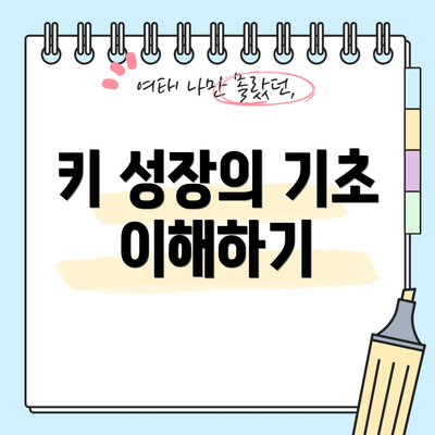 키 성장의 기초 이해하기