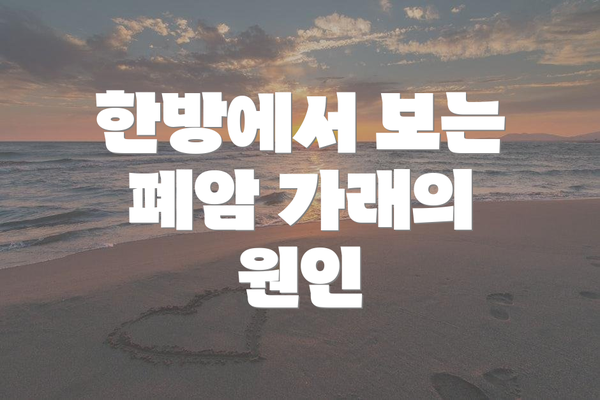 한방에서 보는 폐암 가래의 원인