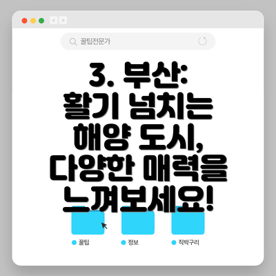 3. 부산: 활기 넘치는 해양 도시, 다양한 매력을 느껴보세요!