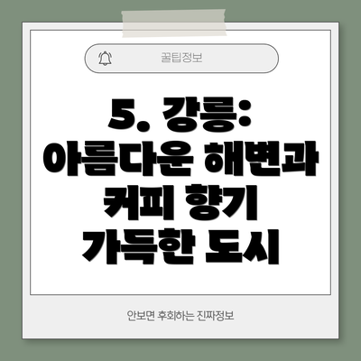 5. 강릉: 아름다운 해변과 커피 향기 가득한 도시