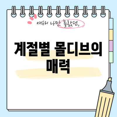 계절별 몰디브의 매력