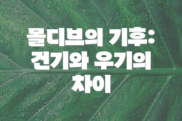몰디브의 기후: 건기와 우기의 차이