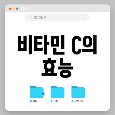 비타민 C의 효능