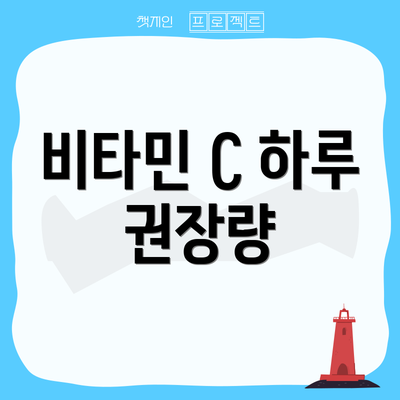 비타민 C 하루 권장량