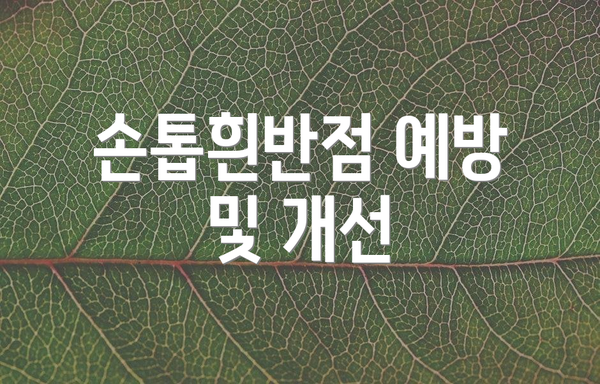 손톱흰반점 예방 및 개선