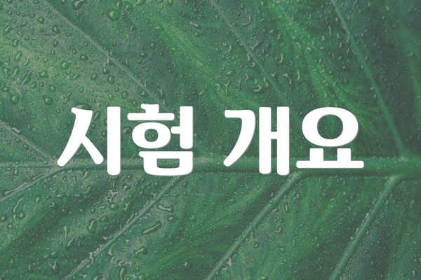시험 개요