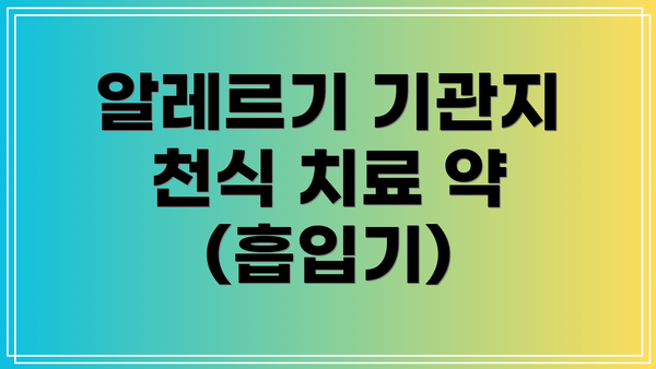 알레르기 기관지 천식 치료 약 (흡입기)
