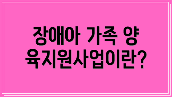 장애아 가족 양육지원사업이란?