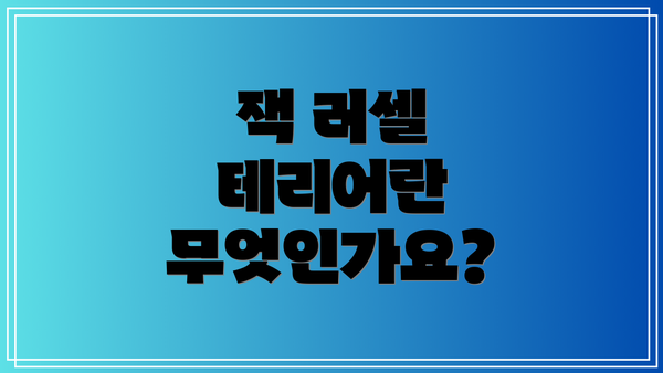 잭 러셀 테리어란 무엇인가요?