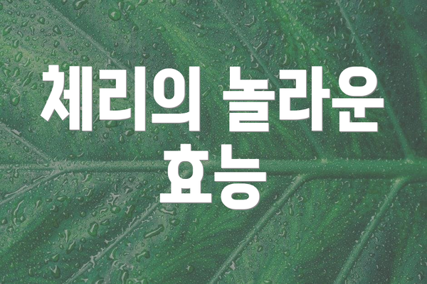 체리의 놀라운 효능