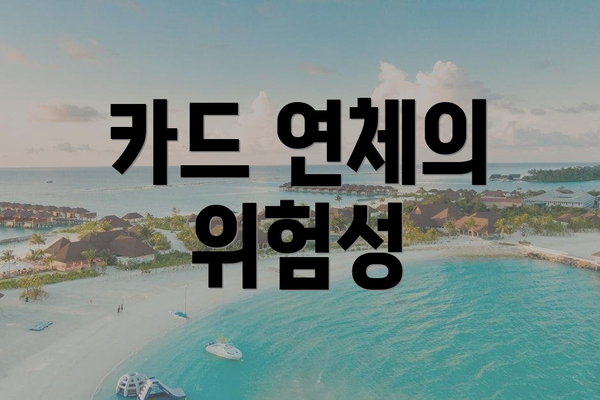 카드 연체의 위험성