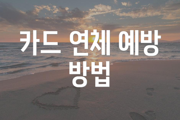 카드 연체 예방 방법