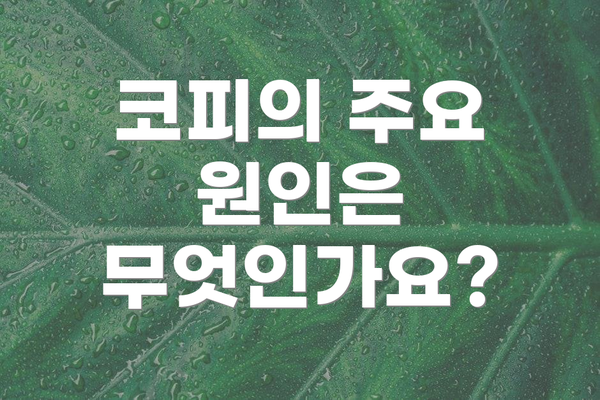 코피의 주요 원인은 무엇인가요?