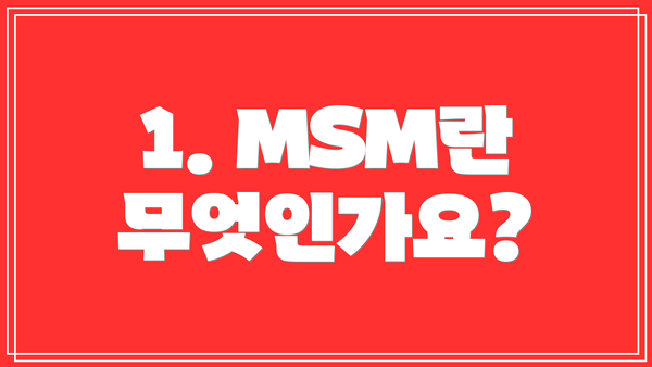 1. MSM란 무엇인가요?
