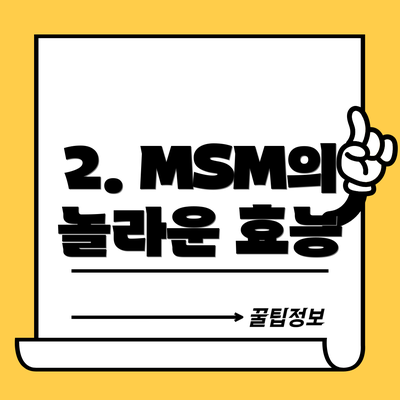 2. MSM의 놀라운 효능