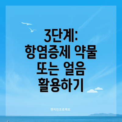 3단계: 항염증제 약물 또는 얼음 활용하기