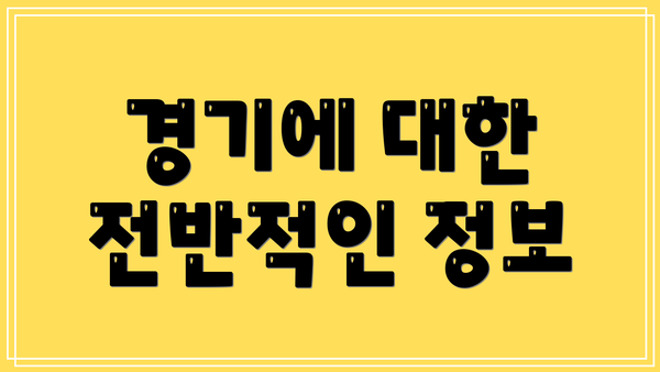 경기에 대한 전반적인 정보