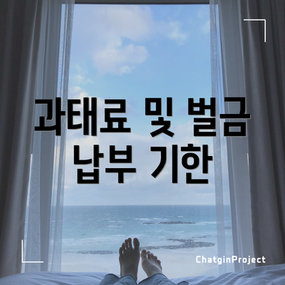 과태료 및 벌금 납부 기한