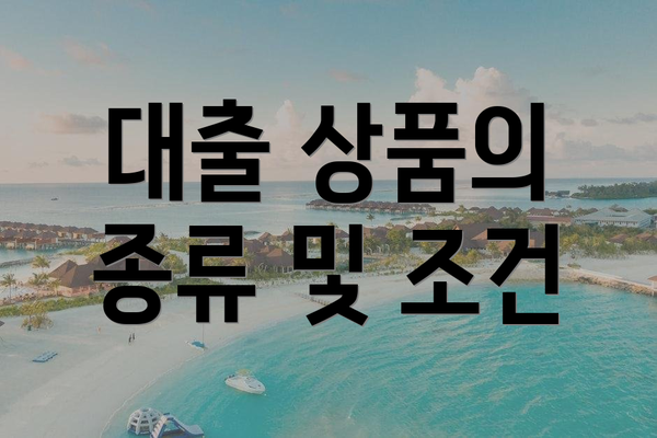 대출 상품의 종류 및 조건