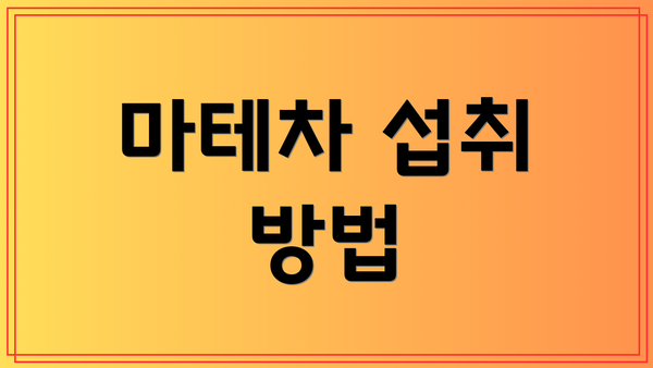 마테차 섭취 방법