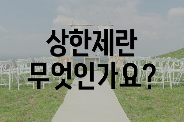상한제란 무엇인가요?