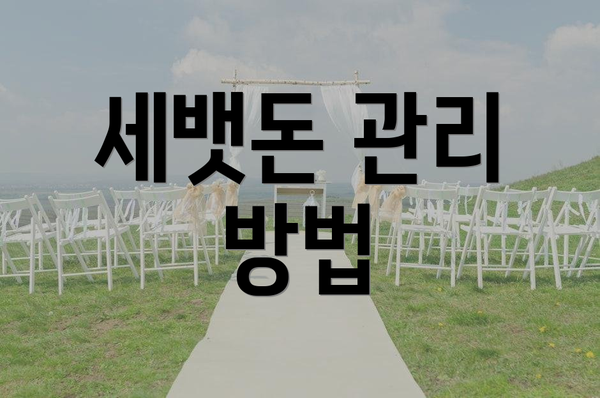 세뱃돈 관리 방법