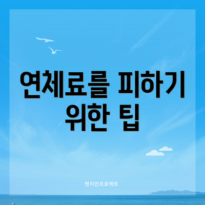 연체료를 피하기 위한 팁