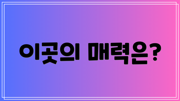 이곳의 매력은?