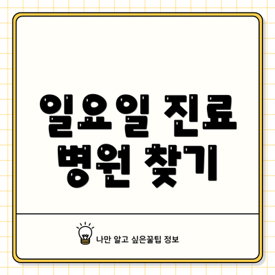 일요일 진료 병원 찾기