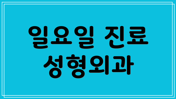 일요일 진료 성형외과