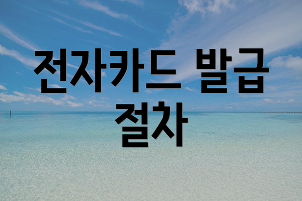 전자카드 발급 절차