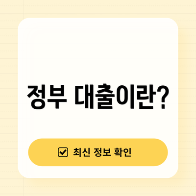 정부 대출이란?