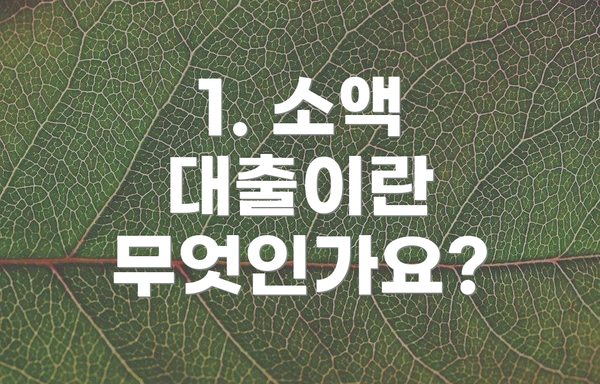 1. 소액 대출이란 무엇인가요?