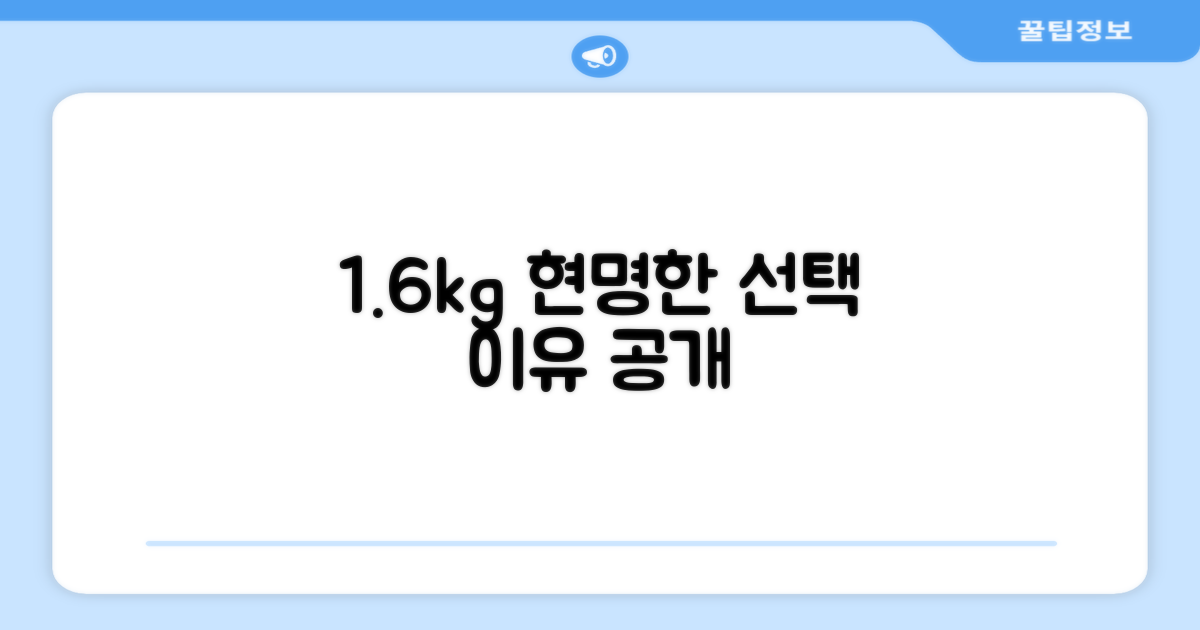 1.6kg, 합리적 선택 이유