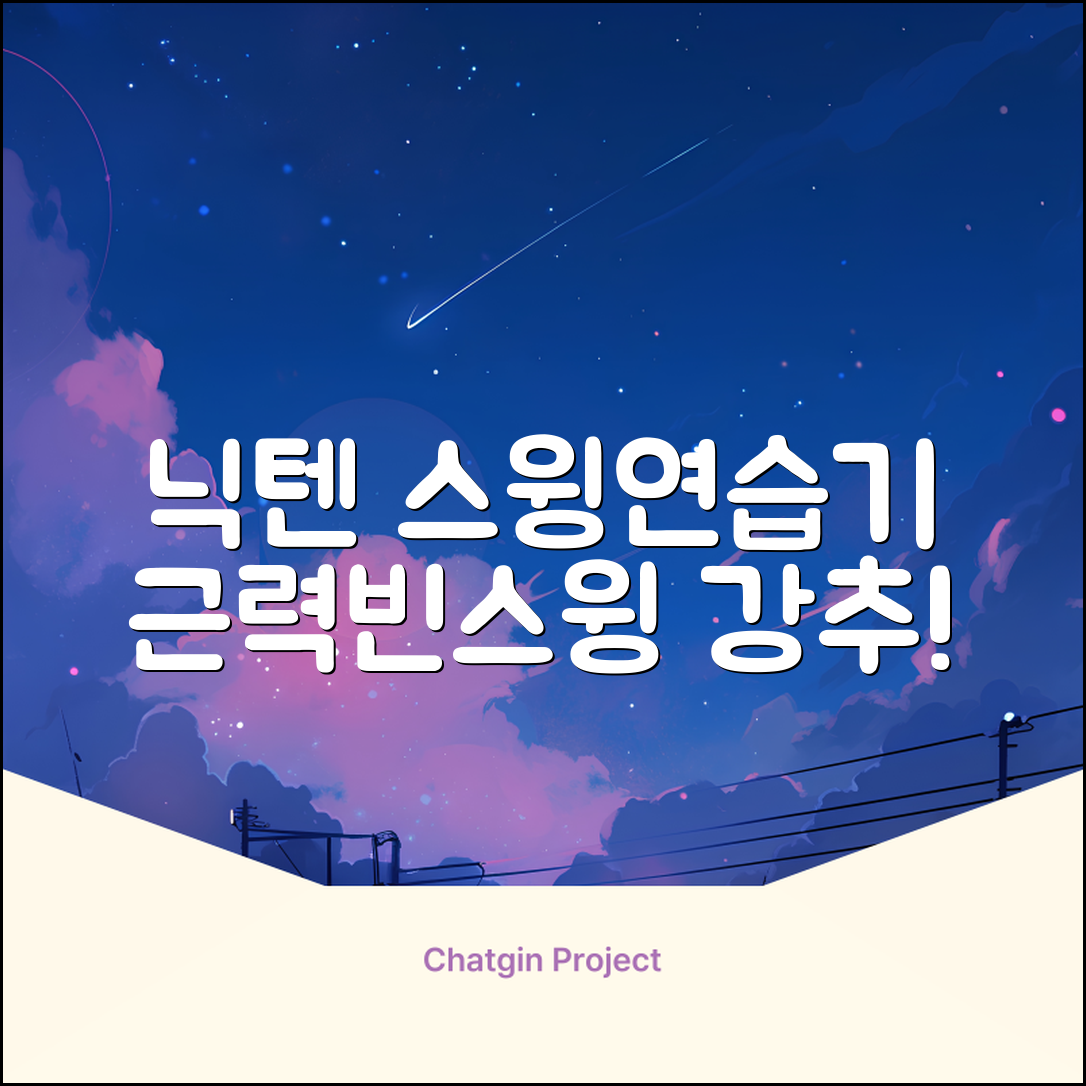 닉텐 배드민턴 스윙연습봉 - 근력강화 및 빈스윙연습, 1개, 스윙연습기 추천 리뷰