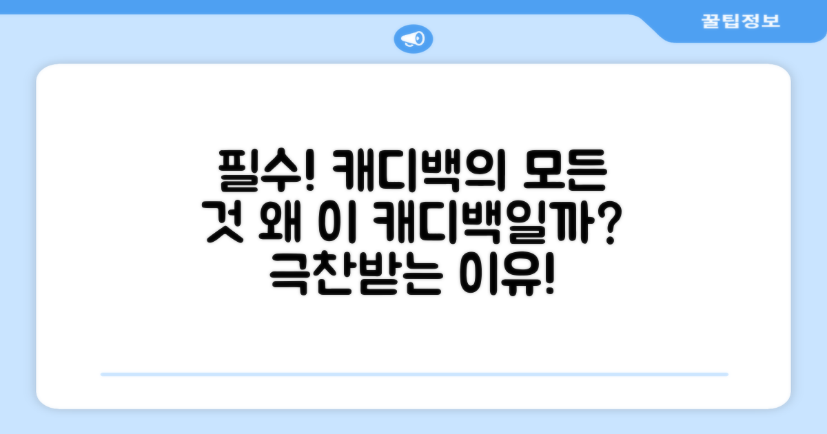 왜 이 캐디백이 필요할까?