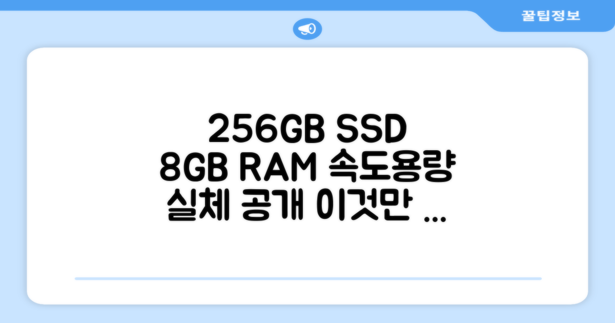 256GB SSD, 8GB RAM 실체