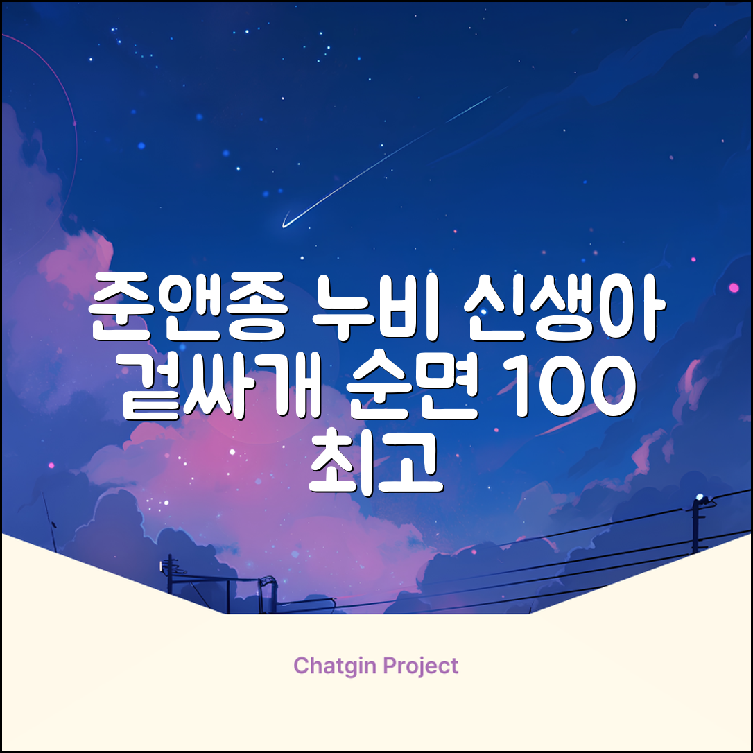 준앤종 프리미엄 순면 신생아 누비 겉싸개 추천 리뷰