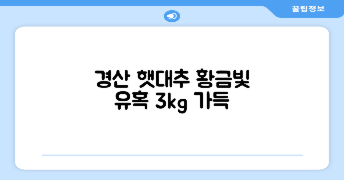 경산 햇대추 3kg, 황금빛 유혹