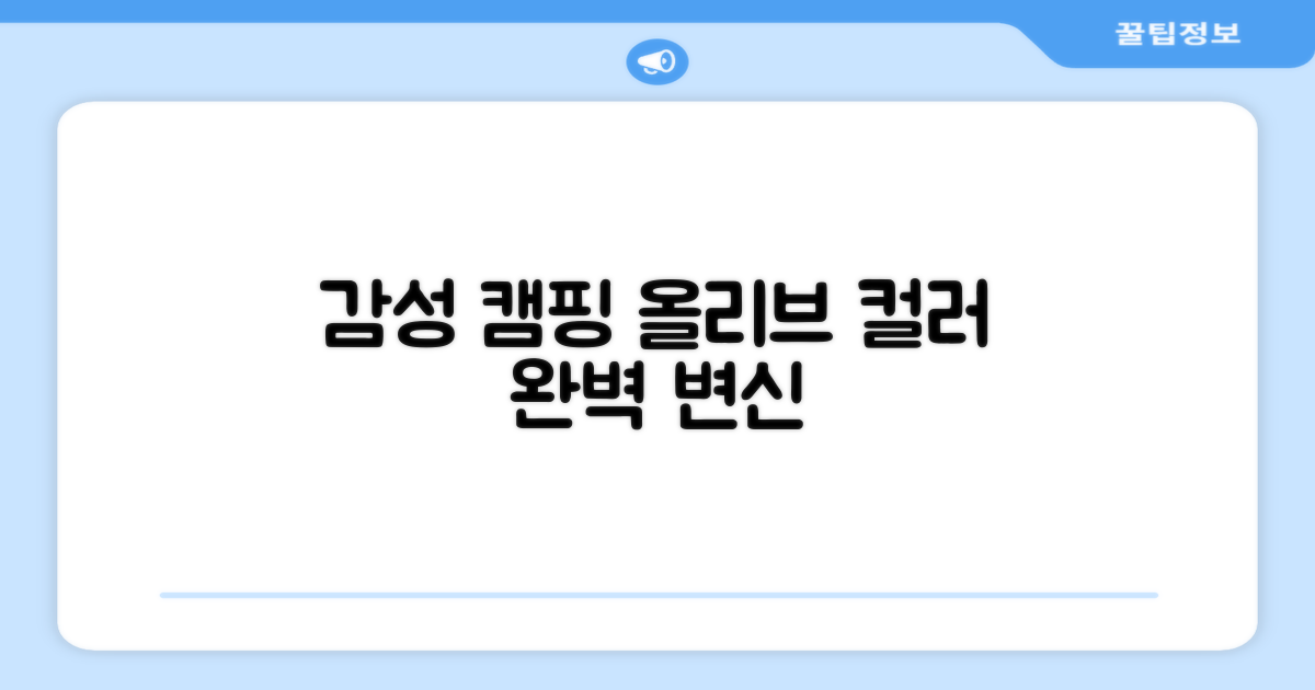 올리브 컬러, 감성 캠핑 완성