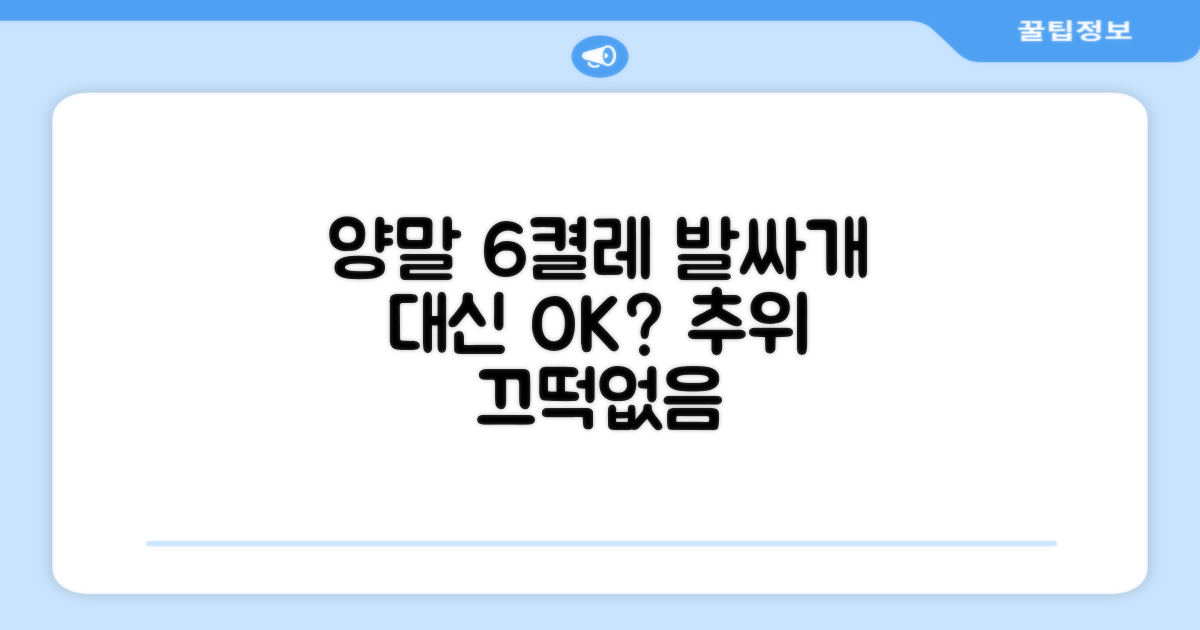 양말 6켤레, 발싸개 대신 OK?