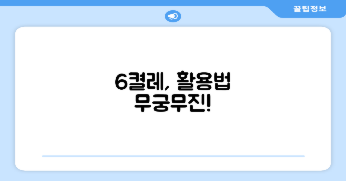 6켤레, 활용법은 무궁무진?
