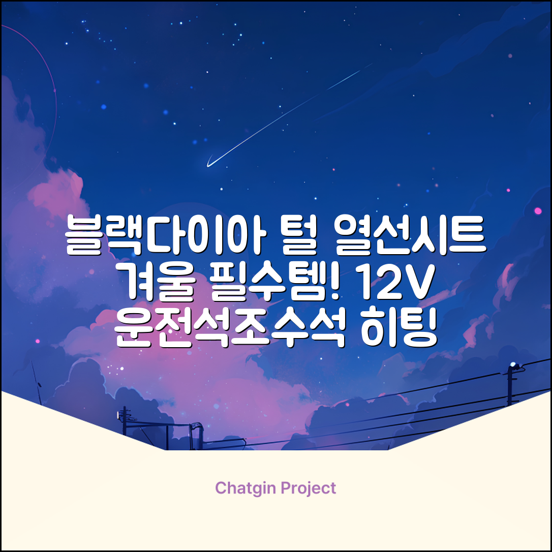 블랙다이아 차량용 열선시트 (1P) 털 겨울 히팅 전기시트, 1개, 12V (운전/조수석) 추천 리뷰