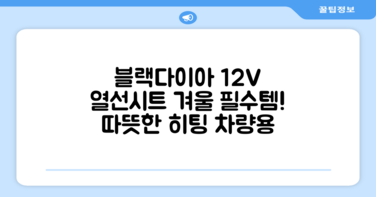 블랙다이아 차량용 열선시트 (1P) 털 겨울 히팅 전기시트, 1개, 12V (운전/조수석) 추천 리뷰